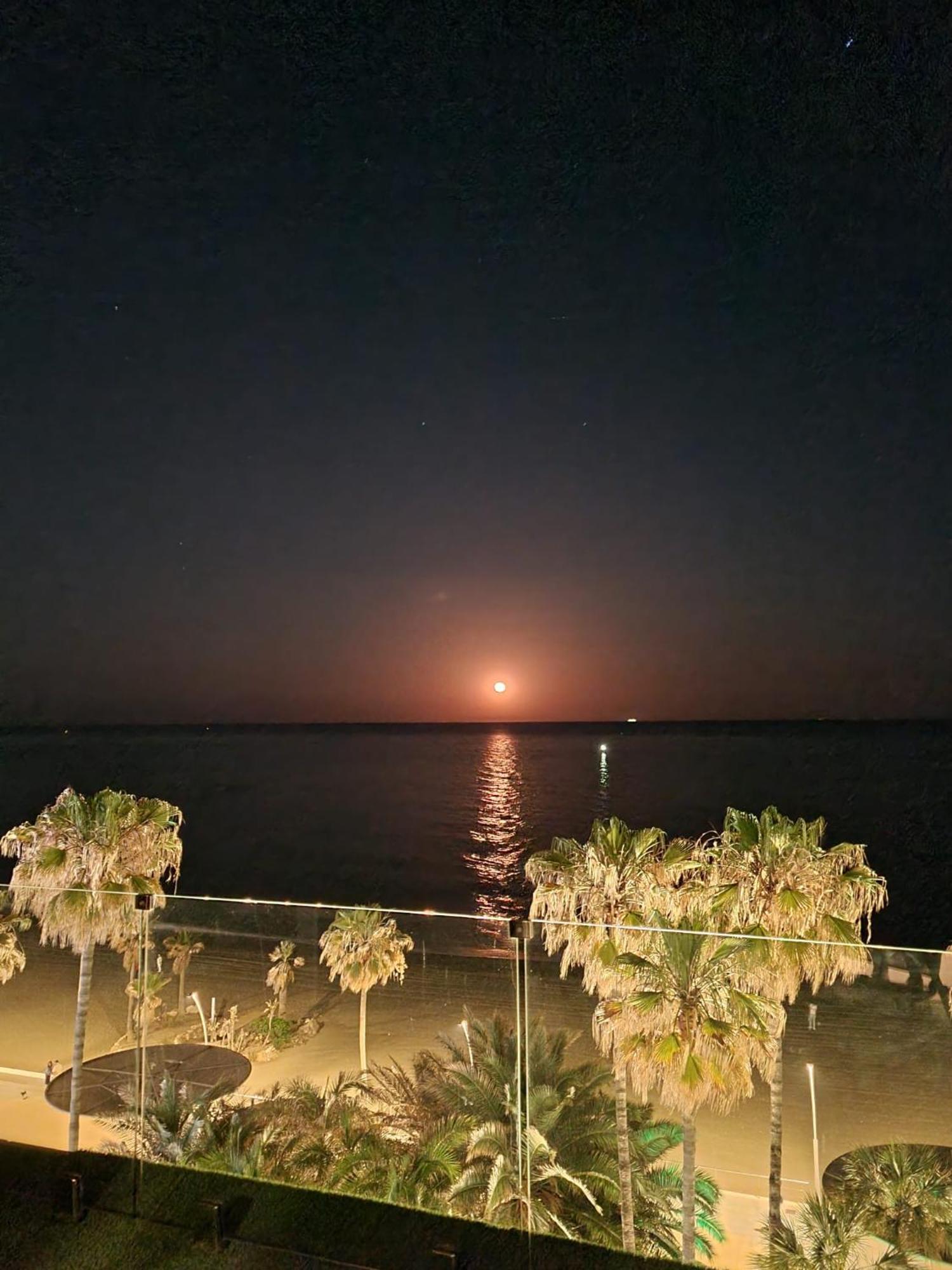 Sunnypalms - Beachfront Penthouse With Stunning Sea View Estepona Kültér fotó